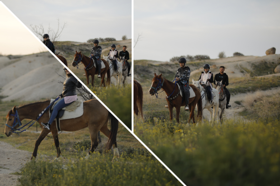 Horse Tour